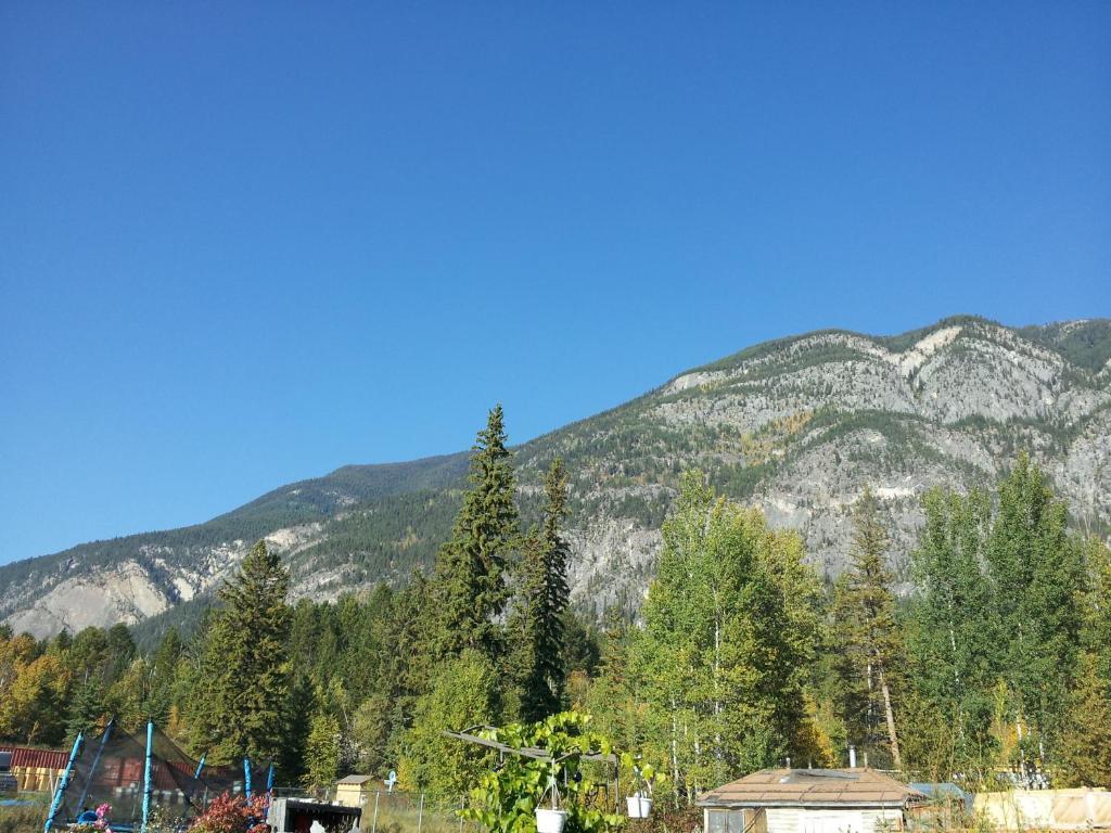 Steamboat Mountain Chalets Ξενοδοχείο Spillimacheen Εξωτερικό φωτογραφία
